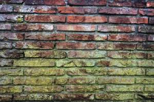 How Seamless Gutters Help Protect Against Mold & Mildew Growth