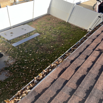 How Often Do Gutters Need to be Cleaned?