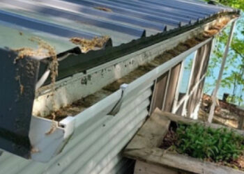 What Is The Green Slimy Stuff In My Gutter System?