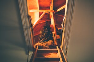 Winter-Proofing Your Attic to Keep Moisture and Animals Out