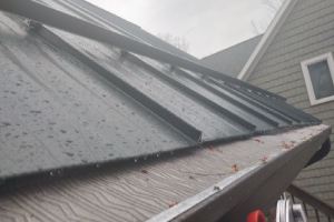 Built for Gutters, Tested by Trees: Choosing the Right Gutter Guard